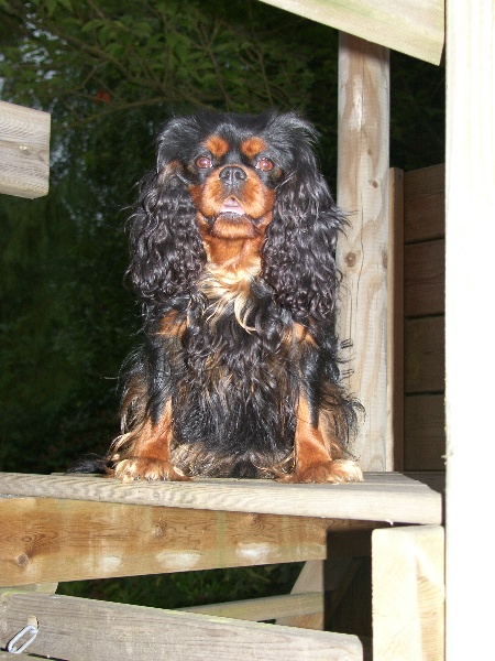 Balzac des Rubis de lady C