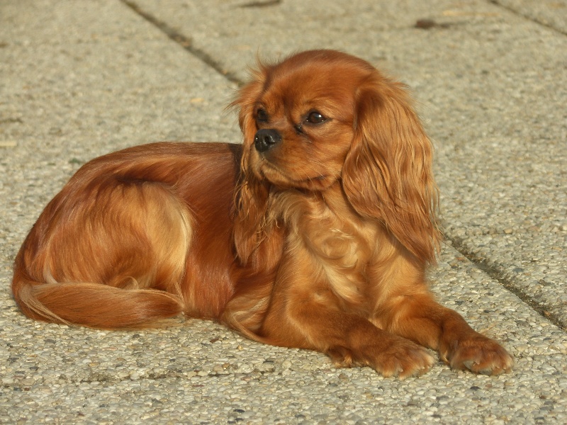 Ellyn of Artemis Garden